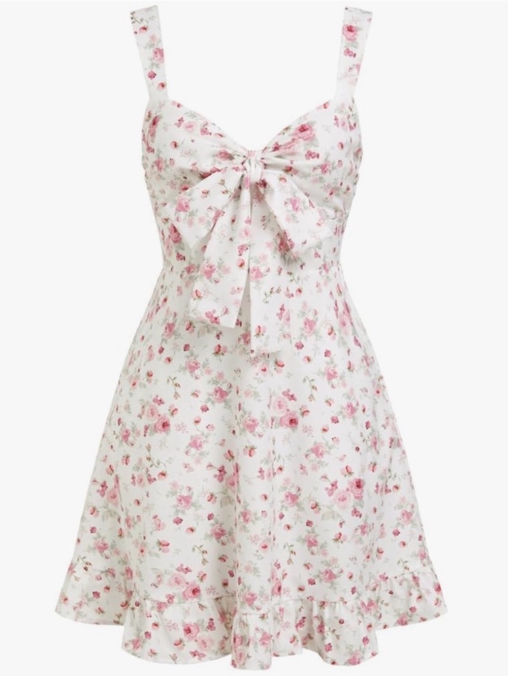 Net cider floral dress